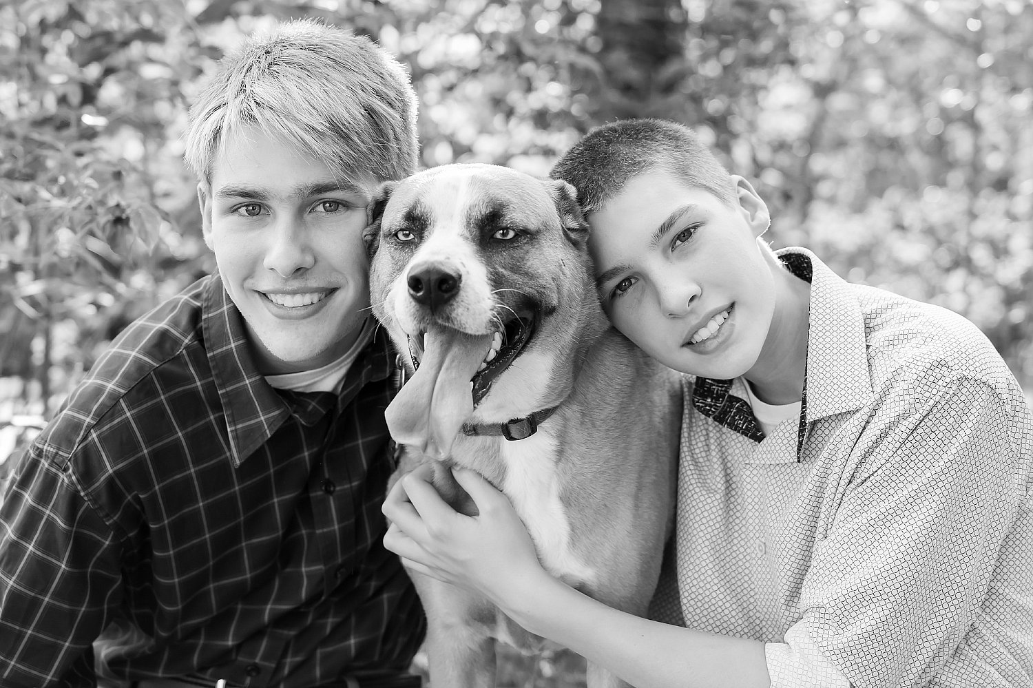Furry Friends Gallery | ST_LOUIS_pet-photography-080.JPG