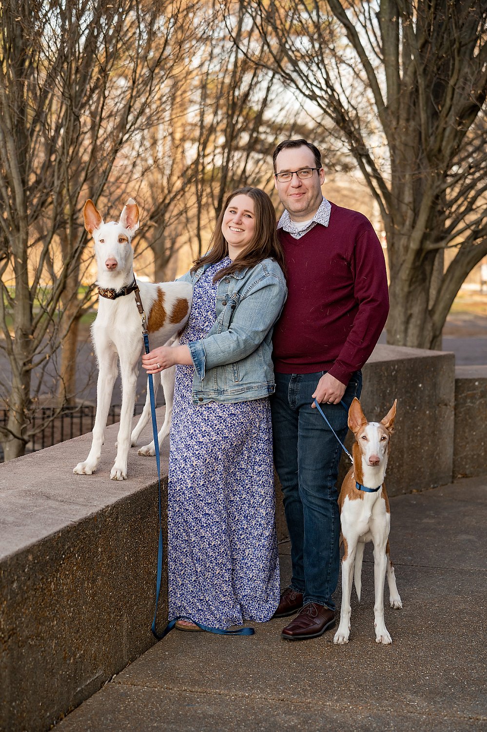 Furry Friends Gallery | ST_LOUIS_pet-photography-084.JPG