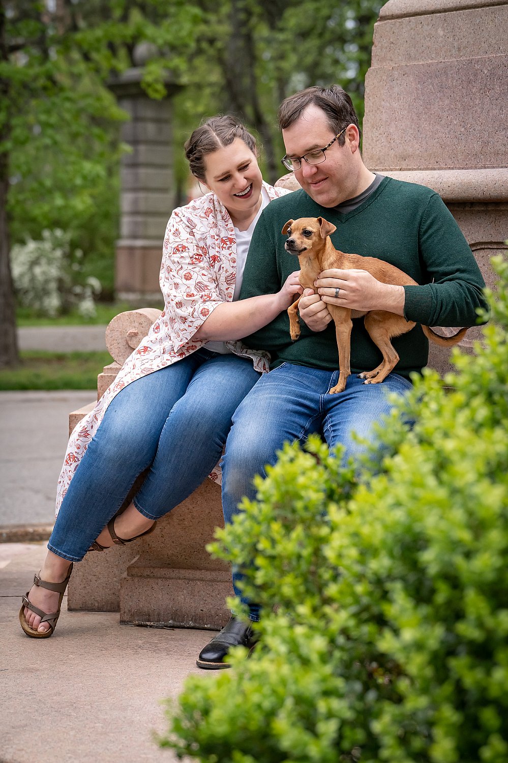Furry Friends Gallery | ST_LOUIS_pet-photography-077.JPG