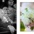 Wedding Gallery | StLouisWedding_042.JPG