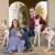 Furry Friends Gallery | ST_LOUIS_pet-photography-065.JPG