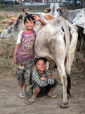 Color photograph of two young boys herding cows in PYIN OO LWIN. , Myanmar. 