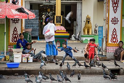 Photographs of young boys chasing pigeons outside a temple in Yangon, Myanmar. 