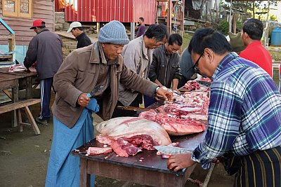 Photograph of men butchering a pig in Chin State, Myanmar. 